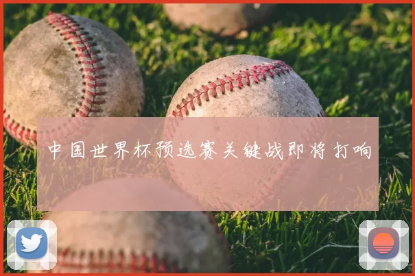 中国世界杯预选赛关键战即将打响