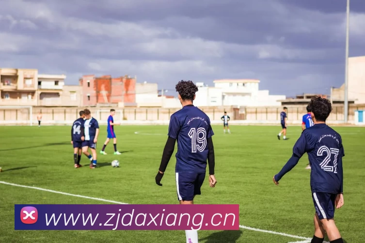 世界杯中国官网平台生态图